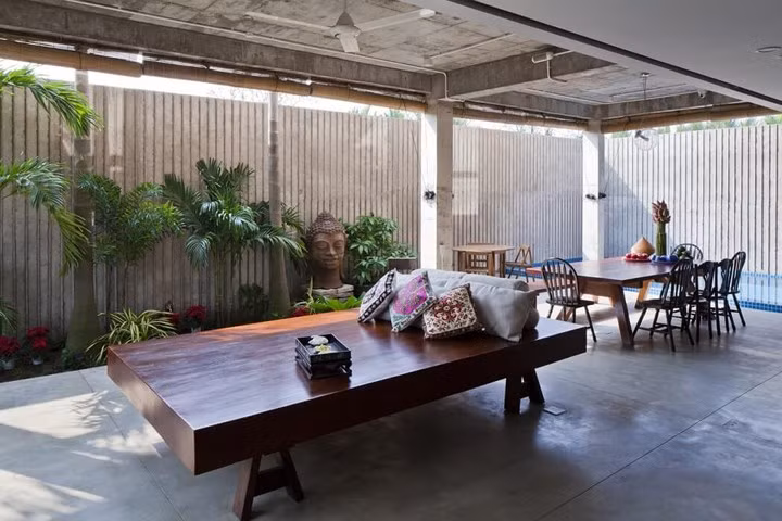 Thực vật là những loài cây đặc trưng của vùng nhiệt đới.