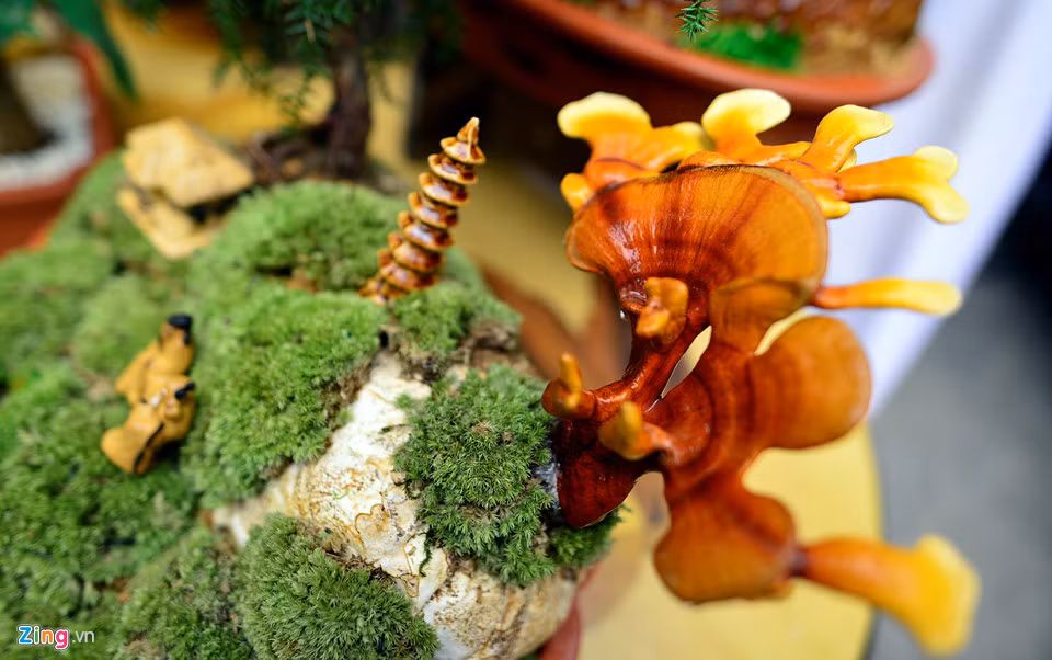 Để nấm chinh chi sống lâu, chủ nhân những chậu nấm này đã thiết kế một túi dinh dưỡng, bao quanh là cỏ hoặc rêu để giữ độ ẩm. Khách hàng mua về chỉ cần xịt nước thường xuyên vào túi, nấm linh chi sẽ giữ được lâu.