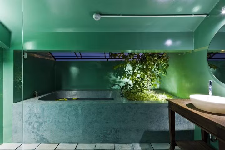 Đèn Led sử dụng trong phòng tắm vào ban đêm đồng thời cũng là điểm nhấn làm nổi bật hệ thực vật trang trí trong phòng.