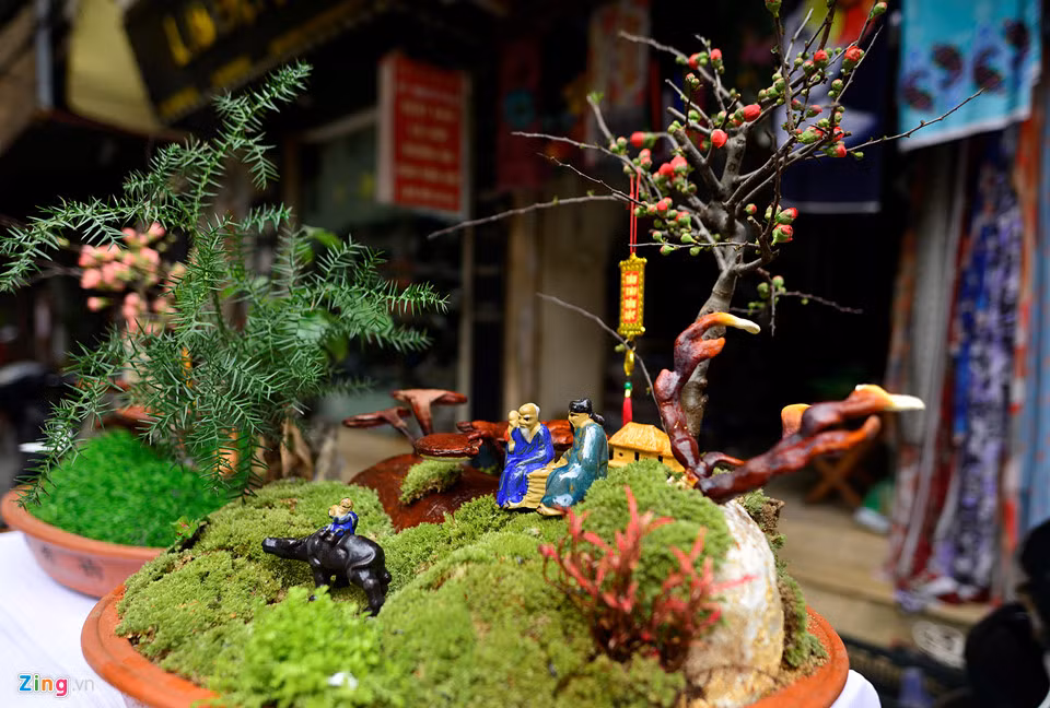 Chậu nấm linh chi mang tên Đồng lão Nghinh xuân kèm theo một cây mai đỏ có giá 4,6 triệu đồng. Chậu cây cảnh có ý nghĩa, già trẻ cùng đón xuân trên một ngọn đồi.