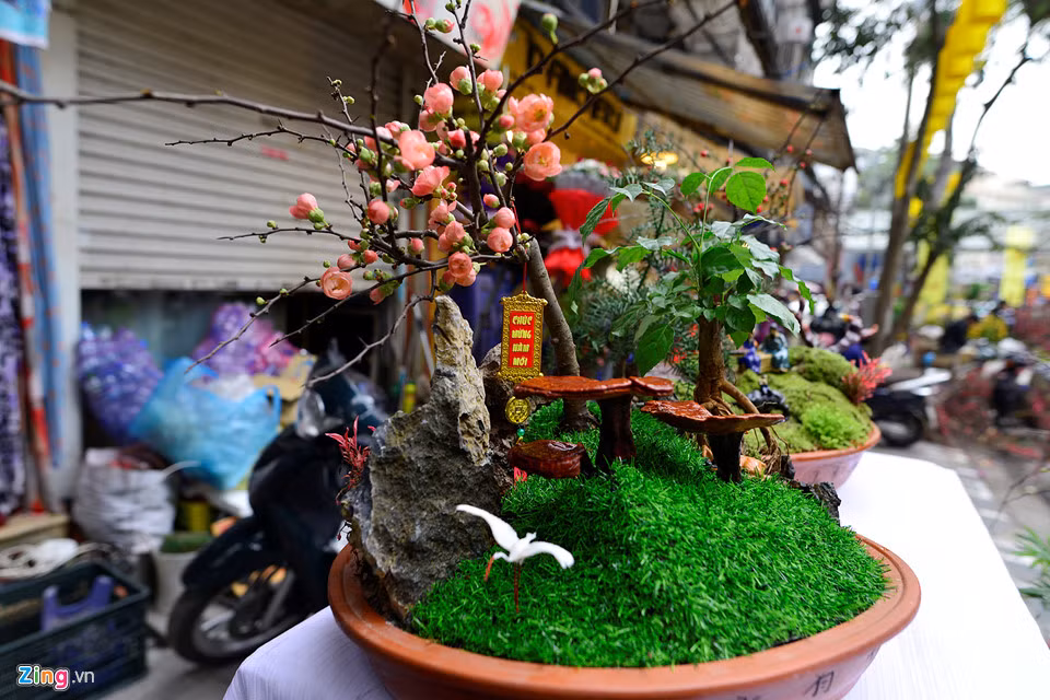 Thêm một chậu nấm linh chi khác có tên Đồng đường Phúc chi mai được trang trí thêm cây kim tiền và mai hồng có giá 4,2 triệu đồng.