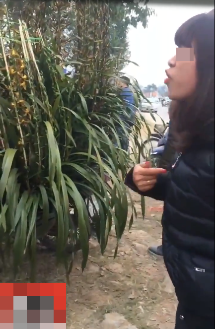 Người phụ nữ bức xúc tìm đến tận nơi bán 2 chậu cây này để làm cho ra nhẽ.