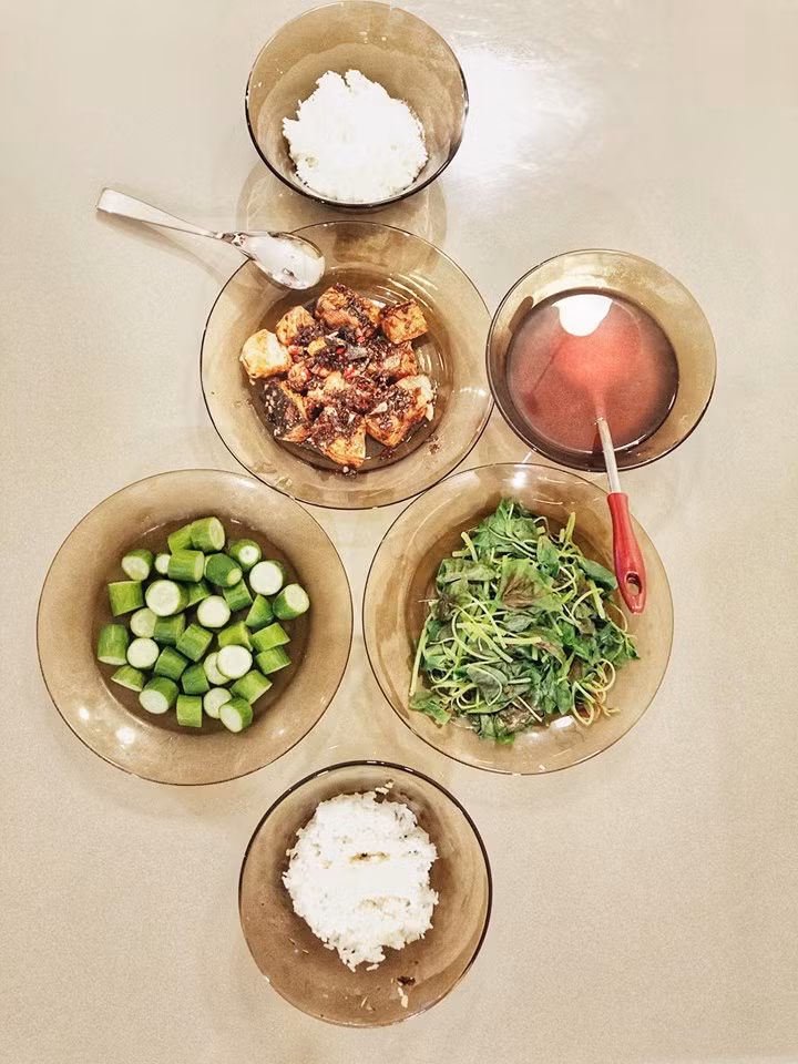 Meow vào bếp với cá hồi rim nước tương cùng rau rền luộc và dưa leo.