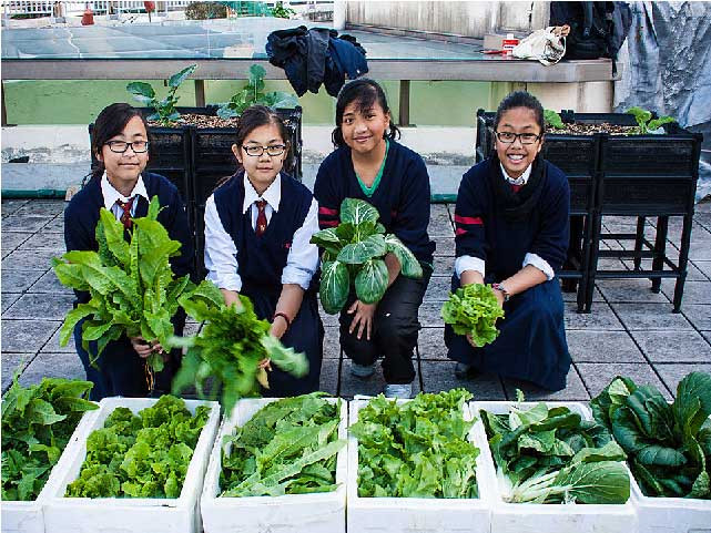 Theo ông Matthew Pryor, Giáo sư Kiến trúc Trường ĐH Hồng Kông: “Mô hình làm trang trại trên mái của các nhà cao tầng rất có tiềm năng để phát triển trong tương lai, lý do không hẳn là chỉ sản xuất thực phẩm sạch mà còn vì giá trị tinh thần to lớn mà nó mang lại. Một điều thực sự thú vị với tôi khi tham quan các trang trại trên mái nhà là thực tế họ không trồng nhiều rau, số lượng thực phẩm tương đối nhỏ, nhưng điều mà trang trại này mang lại nhiều hơn là hạnh phúc".