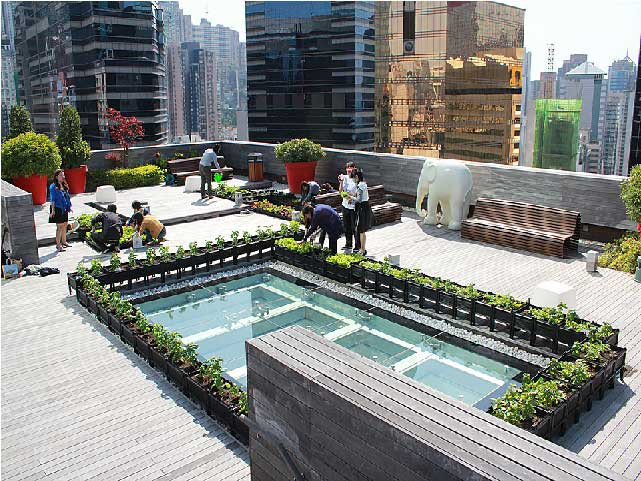 Rooftop Republic (RR) là công ty chuyên khai thác các thực phẩm sạch hữu cơ từ các không gian còn bỏ phí trong thành phố. Tuy mới bắt đầu khởi nghiệp được hơn 3 năm nhưng hiện Công ty này là đơn vị điều hành 36 trang trại trên nóc các tòa nhà chọc trời ở Hồng Kông.