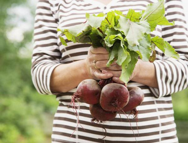 5. Cây cải củ đường Cải củ đường có củ màu đỏ, là loại cây danh tiếng về chất dinh dưỡng cùng nhiều lợi ích tuyệt vời. Bạn có thể sử dụng cả gốc, rễ, lá vào chế độ ăn kiêng, vừa đảm bảo đủ chất vừa trị nhiều bệnh giúp cơ thể thanh lọc và khỏe mạnh.