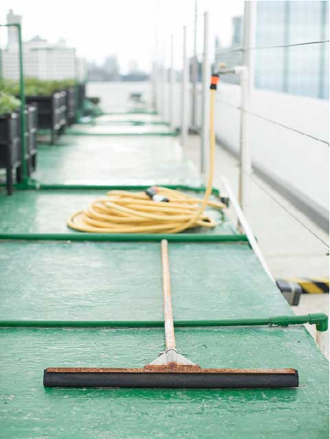 Ngoài việc cung cấp hỗ trợ kỹ thuật, các nhân viên của RR sẽ giúp bạn đưa ra một hệ thống điều hành trang trại hiệu quả để bảo trì trang trại và đảm bảo sự gắn kết của bạn với các thành viên trong công ty, trong gia đình, thậm chí trong cộng đồng nơi bạn sinh sống.