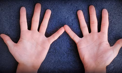 Dem so hoa tay doan ngay van menh giau sang hay ngheo kho