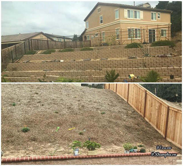 Hình ảnh trước và sau khi cải tạo vùng đồi trống đầy gỗ dăm.