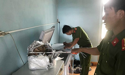 Cá thể hổ phát hiện tại cơ sở gỗ.