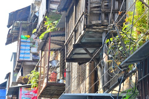 Những ban công được cơi nới lộn xộn, cây dại mọc đầy.