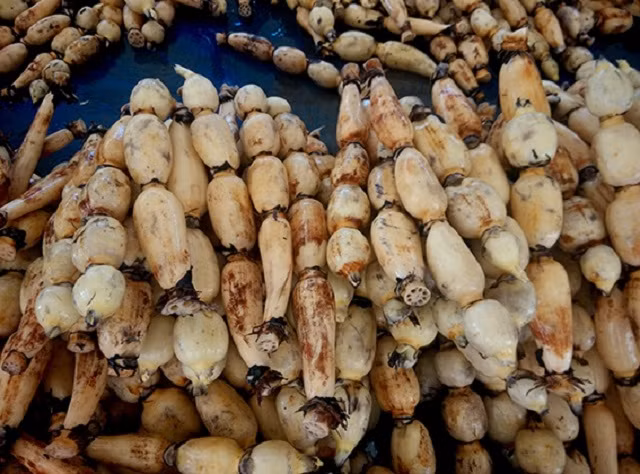 Ảnh minh hoạ. (Nguồn ảnh: Internet).