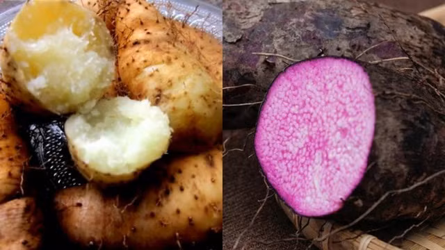 Ảnh minh hoạ. (Nguồn ảnh: Internet).