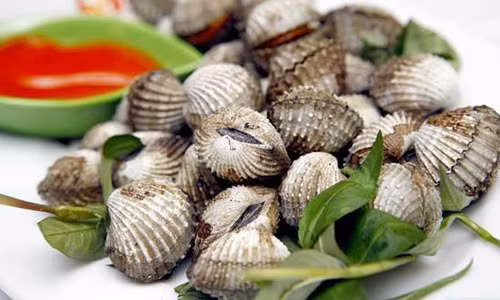 Sò huyết chữa suy nhược cơ thể.