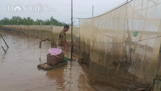 Theo chan ngu dan vao rung san dac san bien, kiem nua trieu/ngay