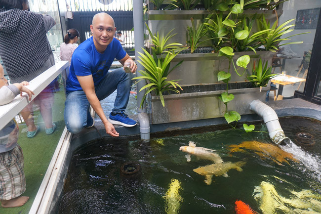 “Sau khi người Nhật đưa chúng về nuôi, lai tạo, chúng nhanh chóng hợp thổ nhưỡng, khí hậu nên phát triển lớn hơn, cho nhiều sắc màu trên cơ thể đẹp hơn” - anh Quyền giải thích.