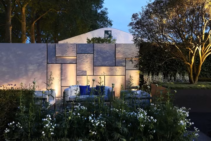 Một diện tường là điểm nhấn trong sân vườn.