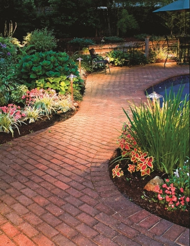 Ánh sáng tô điểm cho những bụi cây và dẫn lối đi.