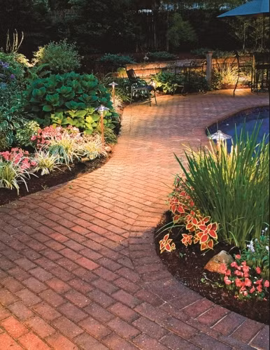 Ánh sáng tô điểm cho những bụi cây và dẫn lối đi.