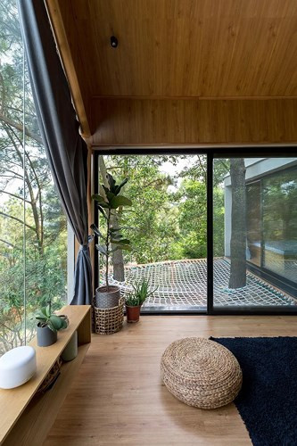 Một vài loại thực vật xinh xắn trong phòng ngủ giúp gắn kết nội thất với khung cảnh thiên nhiên bên ngoài.