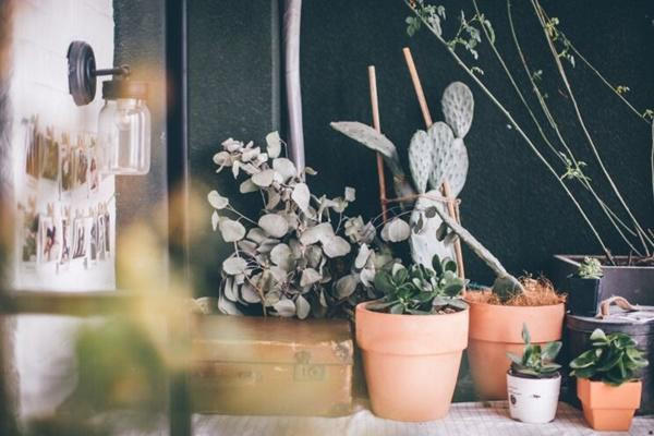 "Nếu bạn chưa kết hôn, hãy tìm 1 nơi thật đẹp, mua 1 căn phòng và sống 1 mình nhé!. Với kiểu trang trí Bắc Âu, vài bộ khăn trải giường thoải mái, sạch sẽ, thêm vài chậu cây xanh và 1 con mèo thông minh như vậy là quá đủ. Thông thường, sau mỗi ngày làm việc, tôi sẽ bước ra ngoài đường phố với bạn bè, có thể say, có thể nói linh tinh, sau đó đi bộ xung quanh rồi về nhà đổ mình xuống giường. Ở tuổi 30 này, ngay cả khi không tìm thấy nửa kia của mình, hãy tìm 1 điều tương tự nhưng dễ dàng hơn miễn là làm mình vui vẻ, chắc chắn bạn sẽ hạnh phúc.”, cô nói.