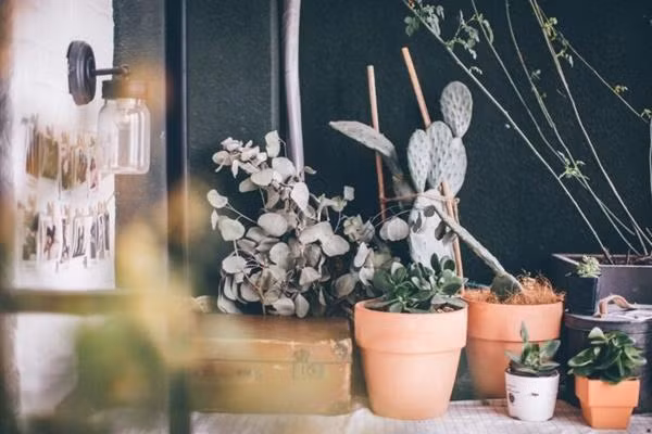 "Nếu bạn chưa kết hôn, hãy tìm 1 nơi thật đẹp, mua 1 căn phòng và sống 1 mình nhé!. Với kiểu trang trí Bắc Âu, vài bộ khăn trải giường thoải mái, sạch sẽ, thêm vài chậu cây xanh và 1 con mèo thông minh như vậy là quá đủ. Thông thường, sau mỗi ngày làm việc, tôi sẽ bước ra ngoài đường phố với bạn bè, có thể say, có thể nói linh tinh, sau đó đi bộ xung quanh rồi về nhà đổ mình xuống giường. Ở tuổi 30 này, ngay cả khi không tìm thấy nửa kia của mình, hãy tìm 1 điều tương tự nhưng dễ dàng hơn miễn là làm mình vui vẻ, chắc chắn bạn sẽ hạnh phúc.”, cô nói.