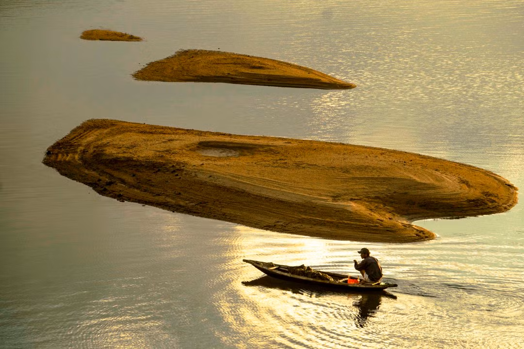 Thả lưới bắt cá.