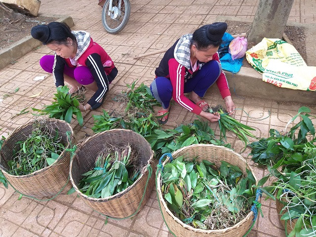 Theo chan tho san lan rung: Co khi danh cuoc ca mang song-Hinh-2