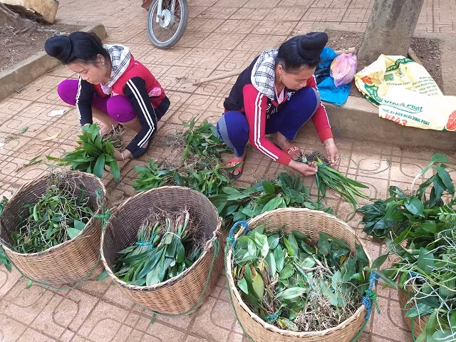 Theo chan tho san lan rung: Co khi danh cuoc ca mang song-Hinh-2