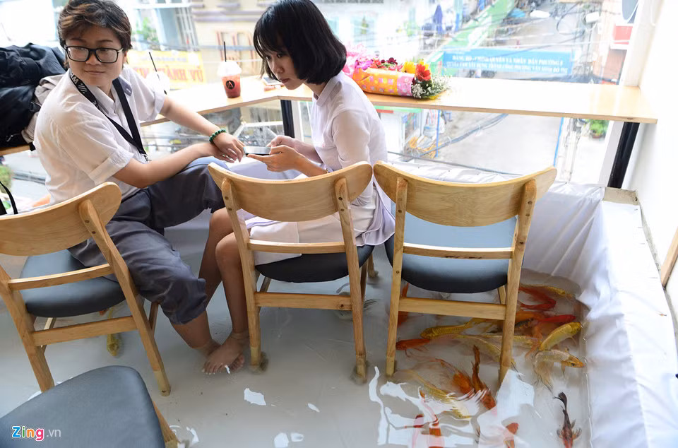 Anh Nguyễn Được Hòa, chủ quán cho biết hiện tại có 200 chú cá chép cảnh lớn với nhiều loại và hàng trăm cá nhỏ khác được thả. Mỗi con có giá 100.000-150.000 đồng với trọng lượng 200-300 gram.