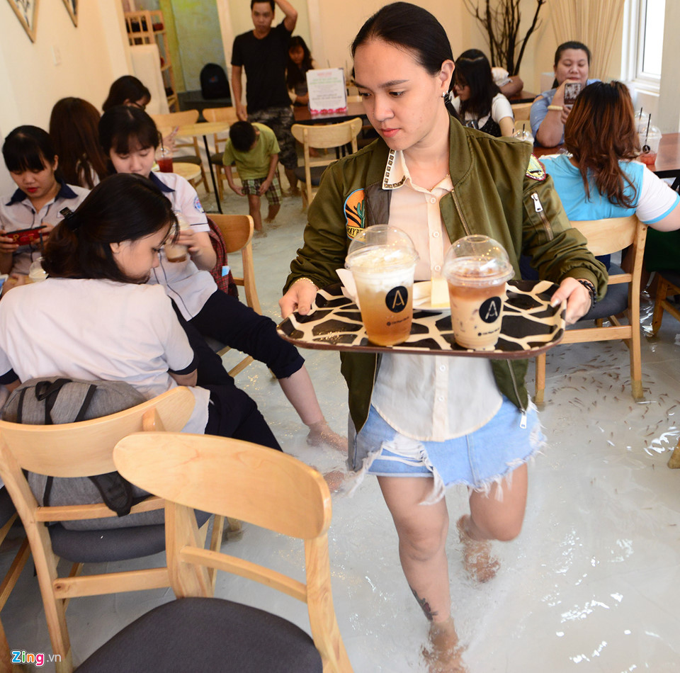 Hồ cá nằm ở tầng thứ 2 của quán, khách mua đồ uống phải tự bưng, bì bõm lội tới chỗ ngồi. Giá đồ uống tại hồ cá được tính ngang với các không gian khác trong quán.