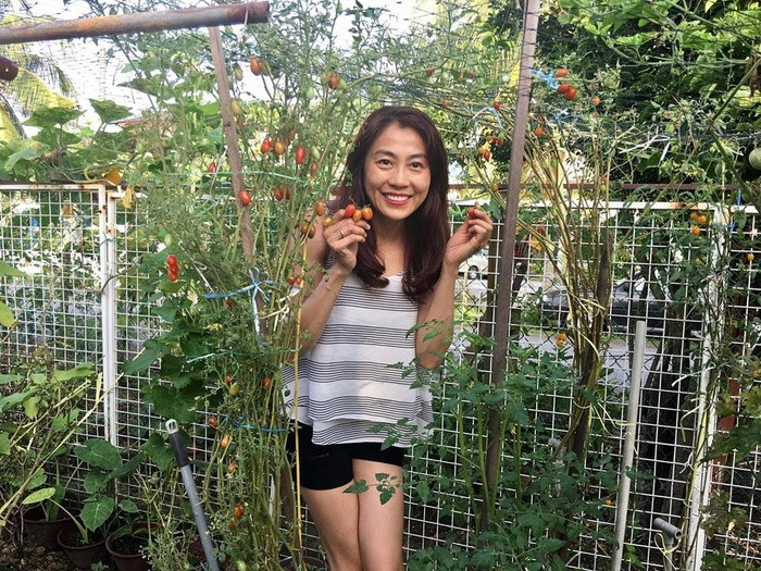 Chủ nhân của vườn rau trái xanh mướt này là chị Huỳnh Diễm Ly, sinh năm 1975. Hiện chị đang làm nội trợ tại nhà và gia đình chị định cư ở Johor Bahru, Malaysia. Với chị, làm vườn là niềm đam mê bất tận bởi lẽ nó không chỉ tạo nguồn rau sạch cho cả gia đình tiêu thụ mà còn giúp chị cảm thấy thư giãn. Vì ba mẹ đều làm nghề nông nên chị Ly làm vườn rất thành thục.