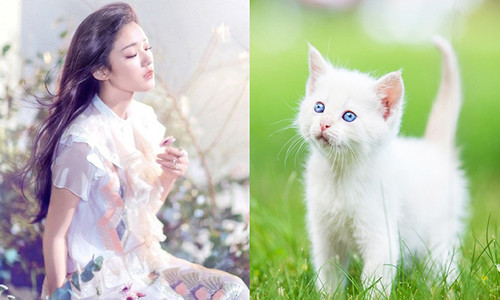 Top 3 con giap van do phung phung giua thang 12/2018