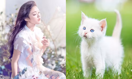 Top 3 con giap van do phung phung giua thang 12/2018