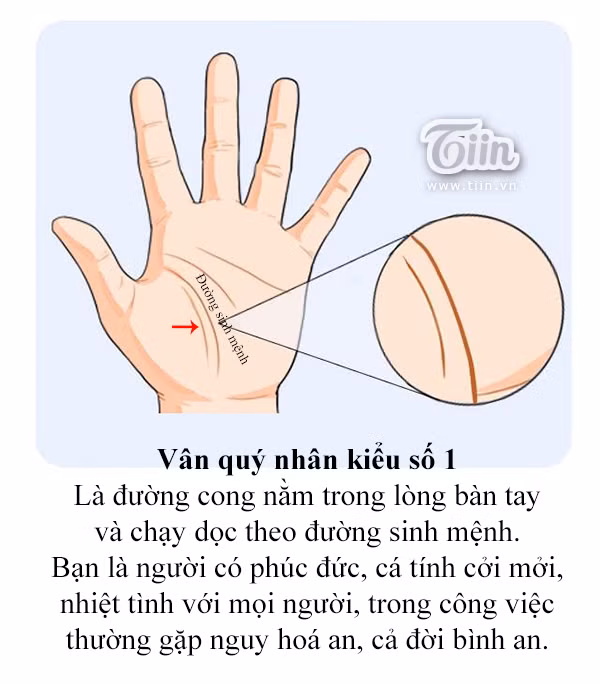 Vân tay kiểu 1: Đường cong nằm trong lòng bàn tay và chạy dọc theo đường sinh mệnh.
