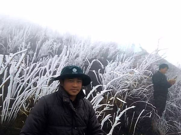 Băng giá bám trên ngọn cỏ tạo nên khung cảnh tuyệt đẹp.