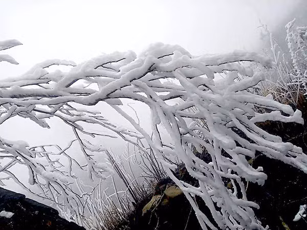 Núi Lảo Thẩn cao gần 3.000m so với mực nước biển, là địa điểm “săn mây” được nhiều khách du lịch, dân phượt, các nhà leo núi chuyên nghiệp và các nghệ sỹ nhiếp ảnh ưa thích tại Lào Cai và khu vực Tây Bắc.