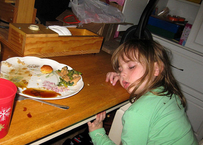 Phải ngủ mới đủ sức để ăn chứ.