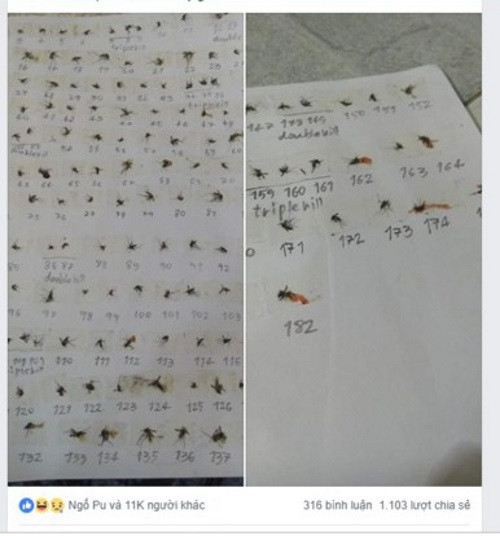 Nam sinh 20/10 ngoi nha lam 