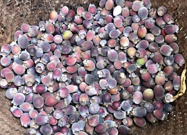 Len thao nguyen Bui Hui hai sim, kiem tien trieu 