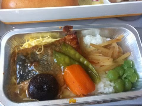 Bữa ăn trên một chuyến bay của Đức. Một suất cơm gồm cá sốt và các loại rau củ như nấm, cà rốt, đậu, củ cải. Chắc hẳn bạn sẽ mệt mỏi hơn khi nhìn thấy món ăn này lúc đói.