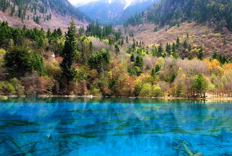 2. Jiuzhaigou Thung lũng Jiuzhaigou của Trung Quốc là nơi có hàng chục hồ nước màu xanh, xanh lá cây và ngọc lam. Người dân địa phương gọi các vùng nước này là "Haizi", nghĩa là "con trai của biển". Những hồ nước đầy màu sắc được tạo ra bởi hoạt động của dòng sông băng và ngày nay nhiều thác nước đổ vào những vùng biển nguyên sơ này. Nước màu đẹp và trong veo khiến du khách có thể nhìn thấu đáy hồ.