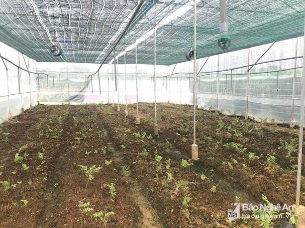 Mô hình này được đánh giá cao về ý tưởng sáng tạo khởi nghiệp. Ảnh: Minh Thái