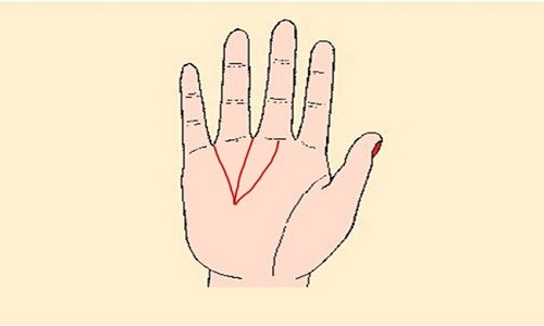 Chủ nhân của đường chỉ tay này là người tốt, giỏi ăn nói, có quan hệ rộng - Ảnh minh họa: Internet