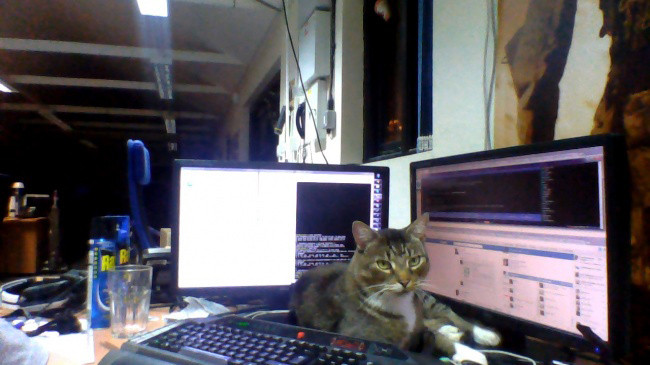 Không lo làm việc đi chụp ảnh cái gì hả Sen.