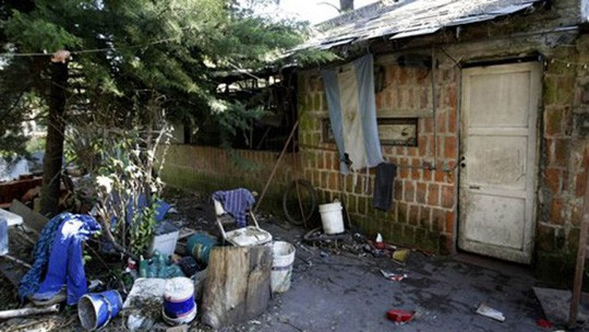 Chong nhot vo con vao chuong va nuoi bang thuc an dong vat