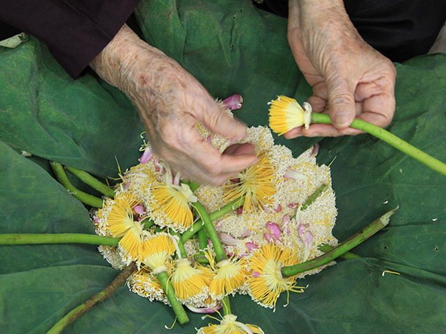 Bà Dần tỉ mẩn tách từng hạt gạo sen để ướp trà, trung bình cần 1.000 bông sen mới ướp được 1kg trà.