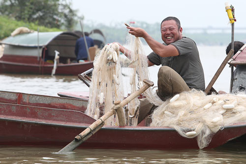Anh Nguyễn Văn Tú cho biết: "Không ít lần vừa giăng lưới gặp đàn cá lớn, nặng chìm cả phao tôi phải kéo lưới lên ngay. Những lúc đó thu khoảng 50 - 70kg cá, hai người ngồi gỡ cá cả ngày mới xong".