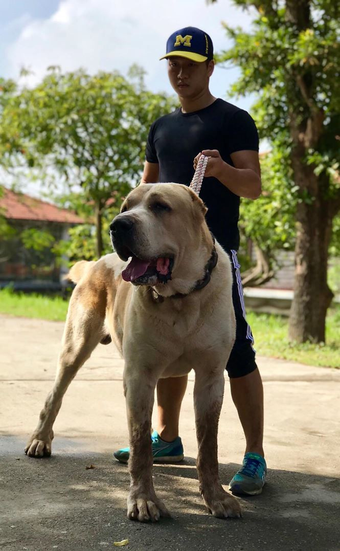 Cung chua thien thach 14 ty: Ai duoc nhu dai gia Xuan Truong-Hinh-2