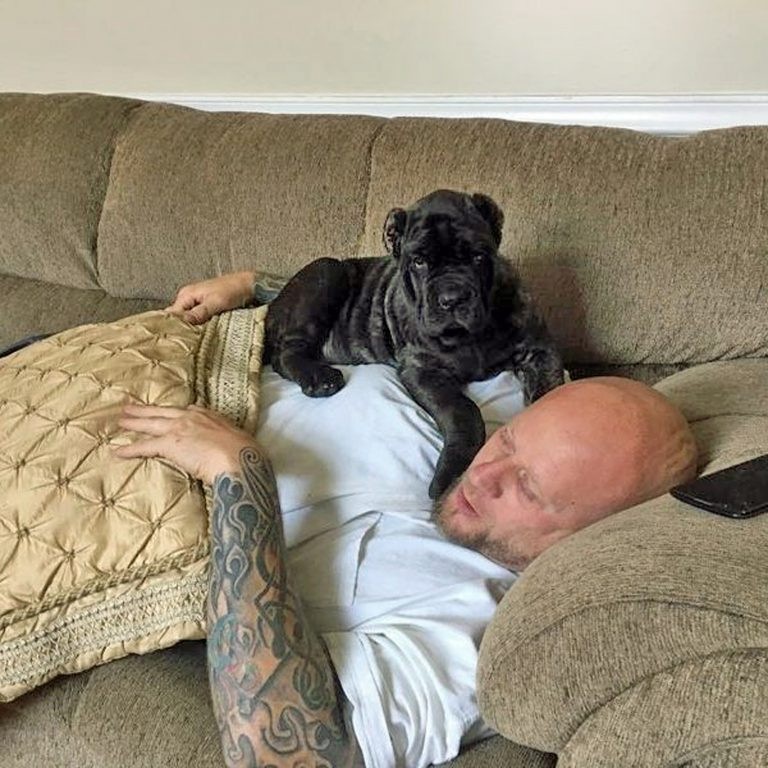 Euphrates khi mới về nhà.